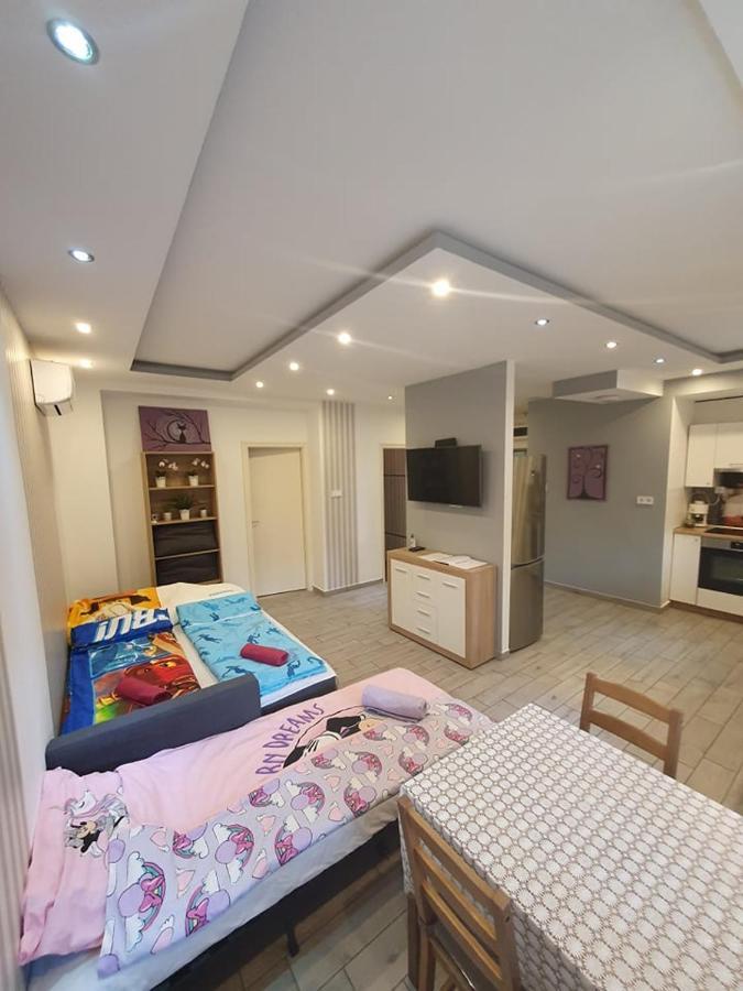 Viola Apartman With Infra Sauna Apartment Szeged Exterior photo